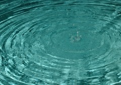 Ripples Ripples in a pool of water