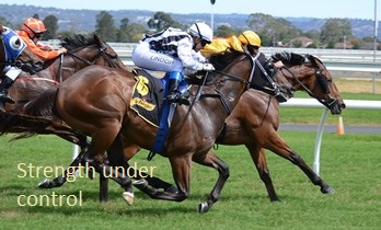 A horse race in progress